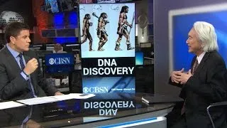 What is Denisovan DNA?