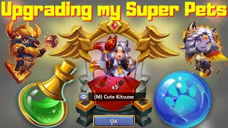 Boosting Super Pets on my Pure F2P | Castle Clash