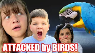 MOM GETS ATTACKED by a BIRD on OUR VACATION! Fun and Crazy Family TRAVEL Vlog