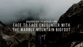 Face To Face Encounter With The Marble Mountain Bigfoot