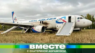 Как пилоты смогли посадить самолет на пшеничное поле? Хроника спасения Airbus А320