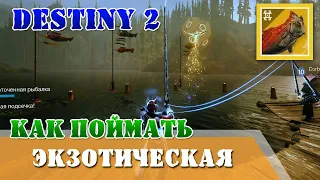 Как поймать экзотическую рыбу, рыбалка Destiny 2