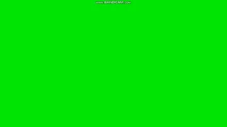 Bandicam - Green screen watermark, new version (1080p 60fps)