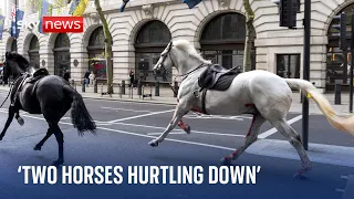 'Two horses started hurtling down the road' - Witness speaks to Sky News