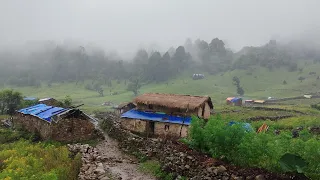 Most Peaceful And Very Relaxing Nepali Mountain Village Life | Rainy Day Life in Jiree Village