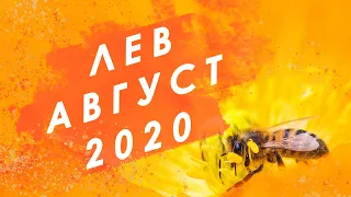 ЛЕВ - Таро прогноз на АВГУСТ 2020 года | Таро онлайн | Таро гадание | Расклад