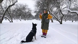 Блогер или курьер, ЧТО я выберу 🎯 Чищу жизнь от НЕНУЖНЫХ людей /  РЕЗУЛЬТАТ дрессировки моей собаки