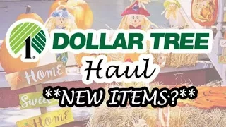 Dollar Tree Haul  **New Items?**