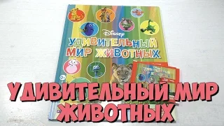 Альбом для наклеек "Удивительный мир животных"