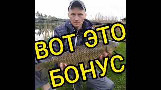 Вот это БОНУС !!! Рыбалка в Минской области, рыбалка Беларусь, рыбалка на карпа 2021,на белого амура