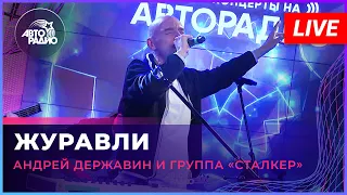 Андрей Державин и группа "Сталкер" - Журавли (LIVE @ Авторадио)