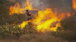 'I felt like I could do my part,' says man seen in McDowell Fire