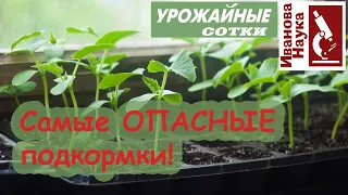 Опасные ПОПУЛЯРНЫЕ и КОПЕЕЧНЫЕ подкормки ДЛЯ черной ножки и угнетения рассады. Не ошибись!