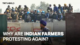 Indian farmers protest over crop prices once again