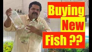 Buying New Fish for Aquarium | Mayur Dev's Tips | How to Buy New Fish Home Aquarium Setup HD1080p