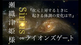 【龍の背中に乗って覚醒】重要：どうりで…【※ライオンズゲートシリウスは瀬尾律姫様⁈】8月8日までにやることは？次元上昇の時に起きる体調の変化と瀬織津姫様からの強いメッセージ｜龍神｜スピリチュアル｜覚醒