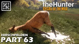 the Hunter: Call of the wild CZ | Napajedla srnců - #63 | Lets play | Česky