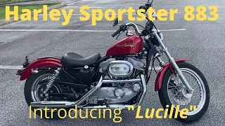 1996 Harley Davidson Sportster 883 Hugger Walkaround. Introducing "Lucille"
