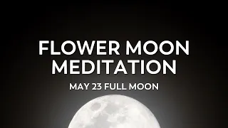 Flower Moon Meditation | May 23rd | Full Moon in Sagittarius