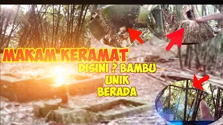 Kahirupan dikolong awi-ADA BERMACAM MACAM BAMBU UNIK