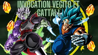 INVOCATION VEGITO BLUE ET GATTAI LR !!!