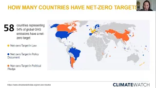 Decarbonization and NET Zero Emissions: The View from Nation-state Analysts