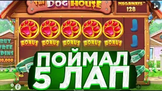 ПОЙМАЛ 5 ЛАП В DOG HOUSE MEGAWAYS И КУПИЛ ALL IN БОНУС ПО СТАВКЕ 400Р С ЗАНОСОМ | DOG HOUSE ЗАНОС