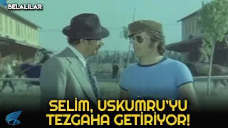 Belalılar Türk Filmi | Selim, Uskumru'yu At Yarışlarında Tezgaha Getiriyor!