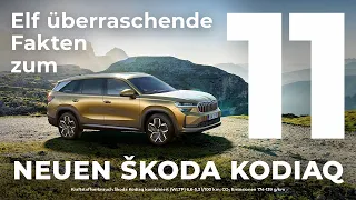 Der neue Škoda Kodiaq: 11 Fakten zum SUV-Flaggschiff von Škoda! 👉 HACKEROTT.de