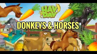 Hay Day Pets - Donkeys & Horses (Guide)