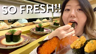 CONVEYOR BELT SUSHI FEAST🍣! Tokyo's FRESHEST Sushi Train Experience