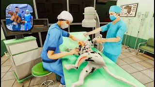 Pet Vet Hospital Simulator - Doctor Care Level 1-3