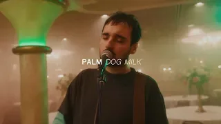 Palm - Dog Milk | Audiotree Far Out