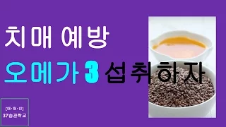 치매 예방 - 오메가 3와 6 지방산의 균형 있는 식습관을 기르자