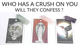 PICK A CARD 🔮 WHO HAS A CRUSH ON U ~ WHO LIKES  U & FALLING FOR U 😍 WILL THEY CONFESS ✨ TIMELESS