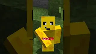 Minecraft Steve's Skin CHANGED??
