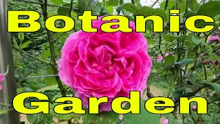 Botanic Garden Walk