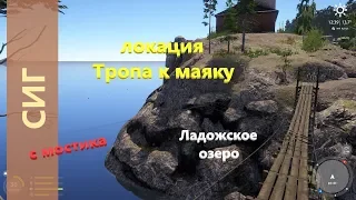 Русская рыбалка 4 - Ладожское озеро - Сиг с подвесного моста
