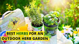 Best Herbs for an outdoor Herb Garden