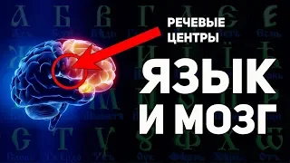 Как буквица раскрывает способности мозга. Славянская матрица мировосприятия. А. Ивашко