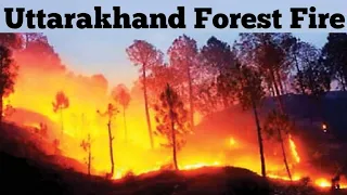 Uttarakhand Forest Fires - Know about Wildfire, Causes & Types of forest fires