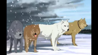 wolfs rain (linkin park new divide)