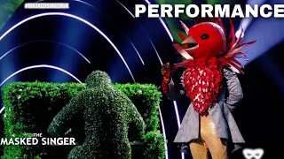 Robin Sings  "Dance Mokey" by Tones And I | The Masked Singer UK | Season 2