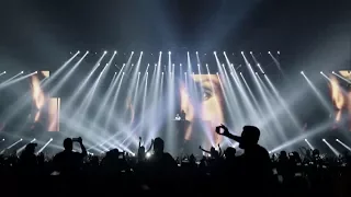 Avicii - Without You ft. Sandro Cavazza (live) - Tribute to Avicii