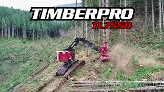 TimberPro TL755D Feller Buncher Cutting in Oregon - Quadco 24b