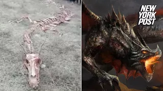 Mysterious dragon skeleton appears in China | New York Post