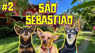 INVADIMOS SÃO SEBASTIÃO - SP PARTE 2 | dicas de viagem  |hotel pet friendly |viagem com cães | Vlog
