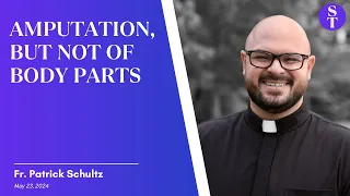 The Reason Sin Needs to Be Taken Seriously | Fr. Patrick Schultz