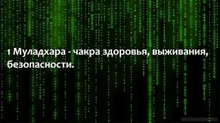 1 Муладхара - чакра здоровье, выживание, безопасность - кости и надпочечники. Связь с Матрицей.