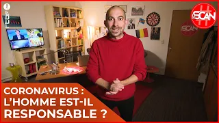 Coronavirus : l'Homme est-il responsable ? - Le Scan